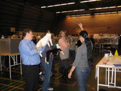 Endelig dom: EX1