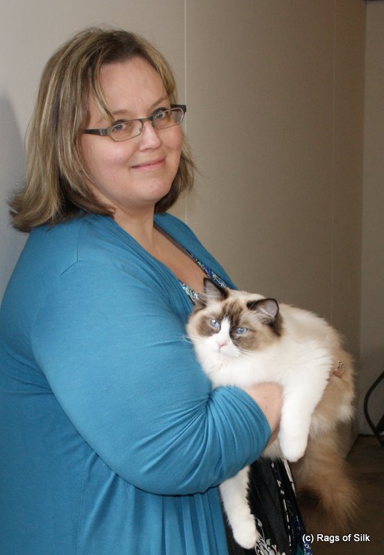 Vild med dyr, katteudstilling, ragdoll kat, racekat jylland, ragdoll jylland, rags of silk, ragdoll killinger til salg